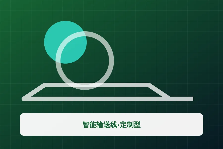 智能输送线·定制型产品示意图
