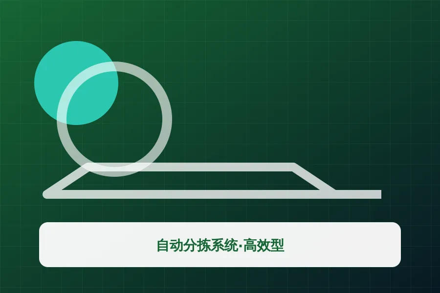 自动分拣系统·高效型应用示意图