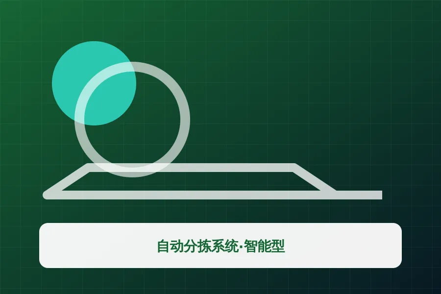 自动分拣系统·智能型产品示意图